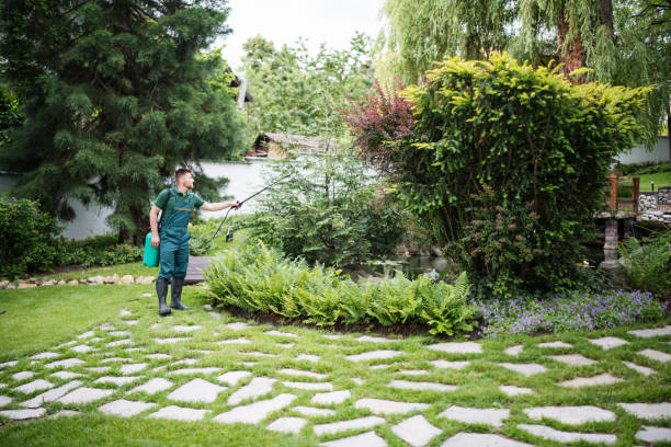 Best Mosquito Control Services  in Gatesville, TX