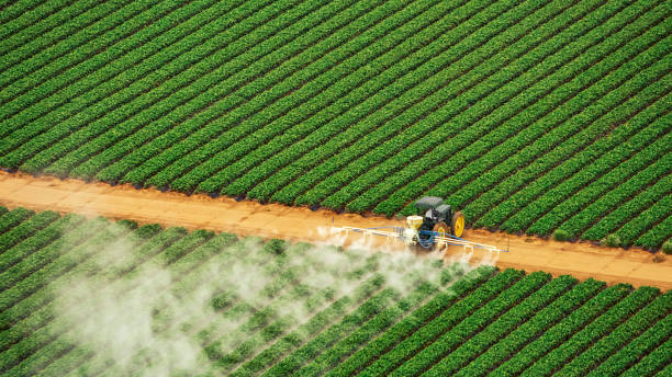 Gatesville, TX Pest Control Company