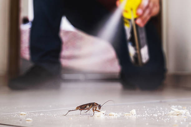 Best Pest Removal Services  in Gatesville, TX