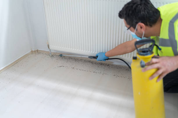 Best Termite Control Services  in Gatesville, TX