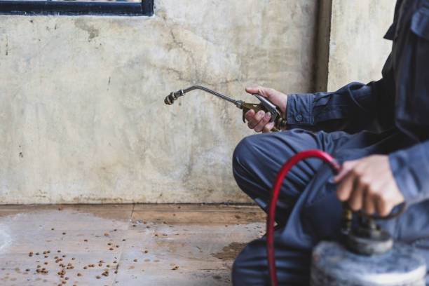 Best Wasp Removal Services  in Gatesville, TX